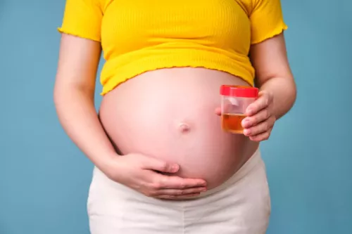 Pregnant With High Bp But No Protein In Urine